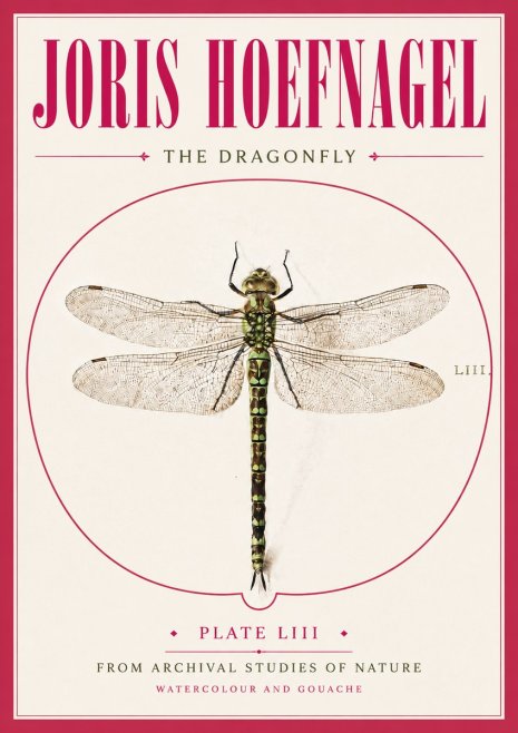 Joris Hoefnagel The Dragonfly No5 - Poszter