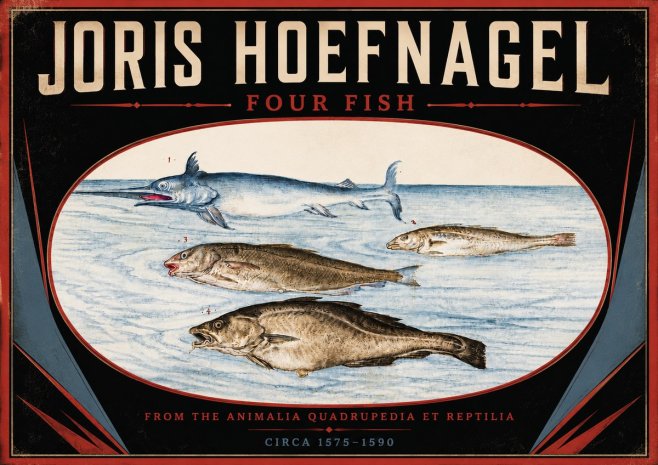 Joris Hoefnagel Four Fish No5 - Poszter