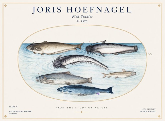 Joris Hoefnagel Fish of the Waters No2 - Poszter