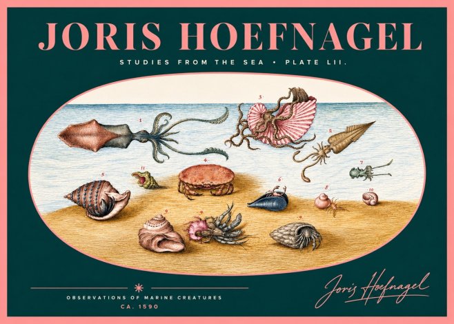Joris Hoefnagel Marine Creatures - Plate Lii No2 - Poszter