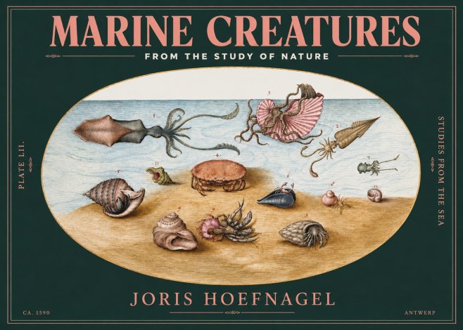 Joris Hoefnagel Marine Creatures - Plate Lii No3 - Poszter
