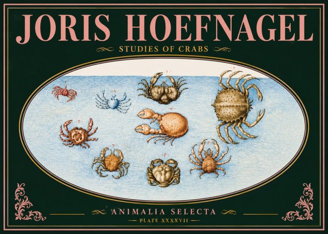 Joris Hoefnagel Studies of Crabs No5 - Poszter
