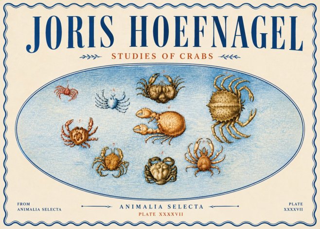 Joris Hoefnagel Studies of Crabs No6 - Poszter