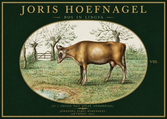 Joris Hoefnagel Bos in Lingva No5 - Poszter