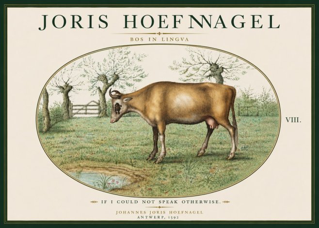 Joris Hoefnagel Bos in Lingva No6 - Poszter