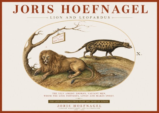 Joris Hoefnagel Lion and Spotted Hyena No4 - Poszter