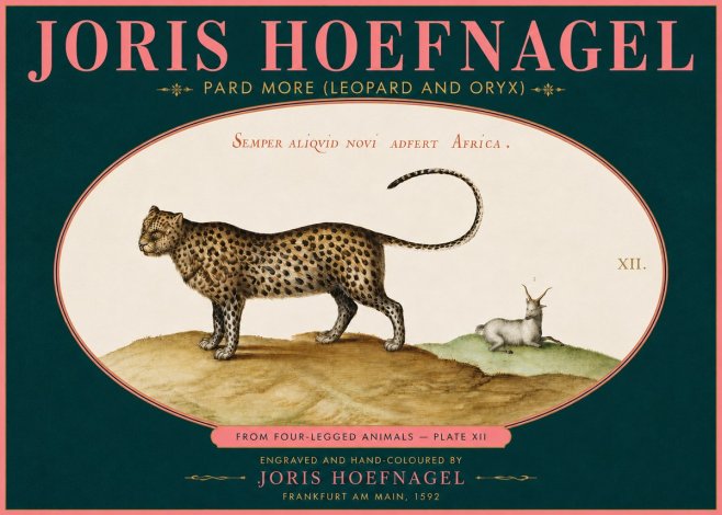Joris Hoefnagel Pard More (Leopard and Oryx) No5 - Poszter