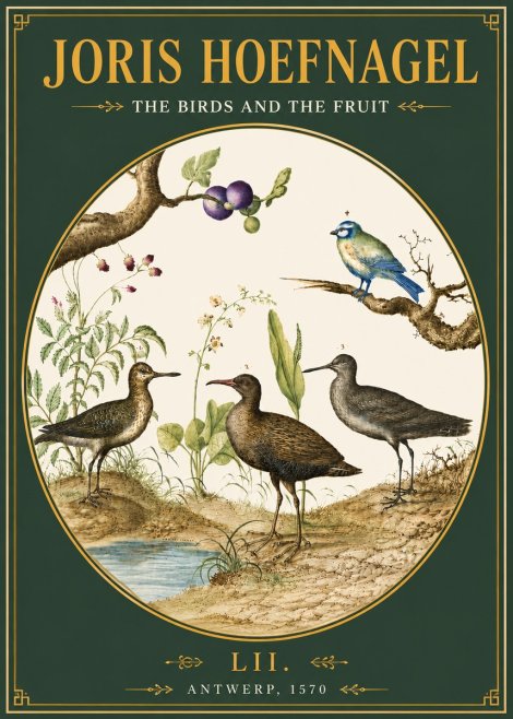 Joris Hoefnagel The Birds and the Fruit No4 - Poszter