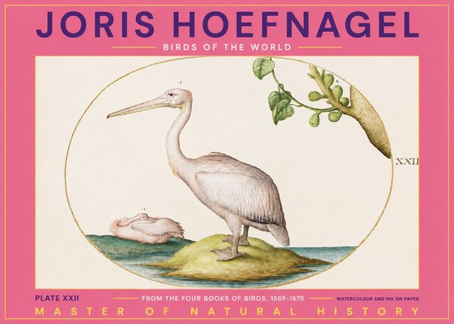 Joris Hoefnagel Plate Xxii No2 - Poszter