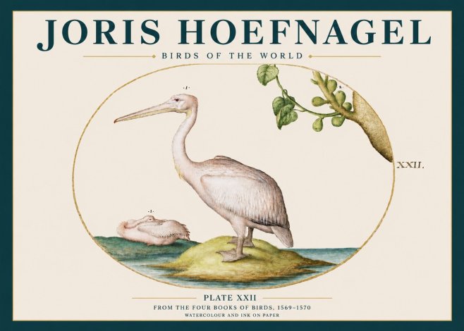 Joris Hoefnagel Plate Xxii No3 - Poszter