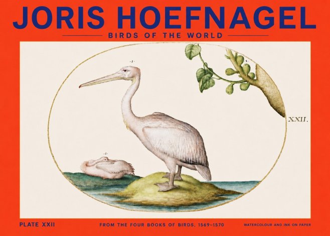 Joris Hoefnagel Plate Xxii No4 - Poszter