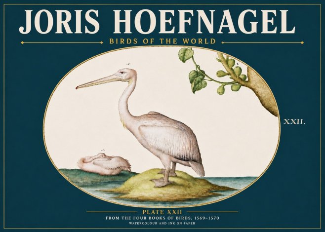 Joris Hoefnagel Plate Xxii No5 - Poszter