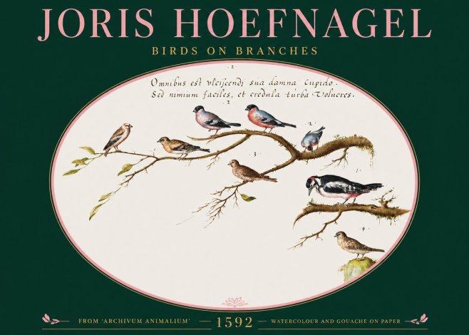 Joris Hoefnagel Birds on Branches No2 - Poszter