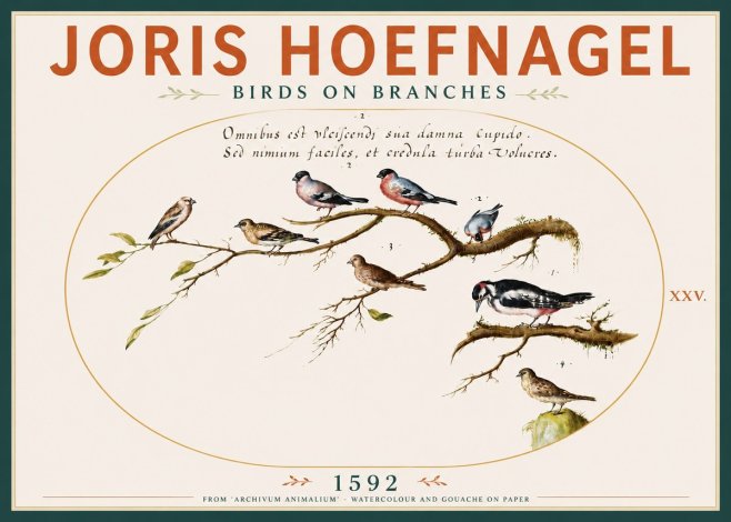 Joris Hoefnagel Birds on Branches No4 - Poszter