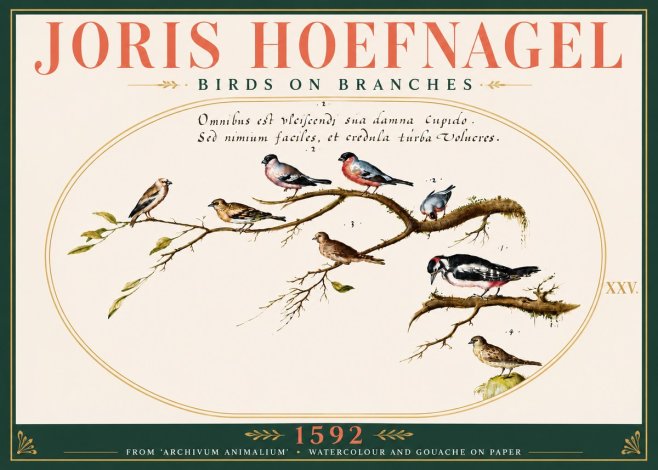 Joris Hoefnagel Birds on Branches No6 - Poszter