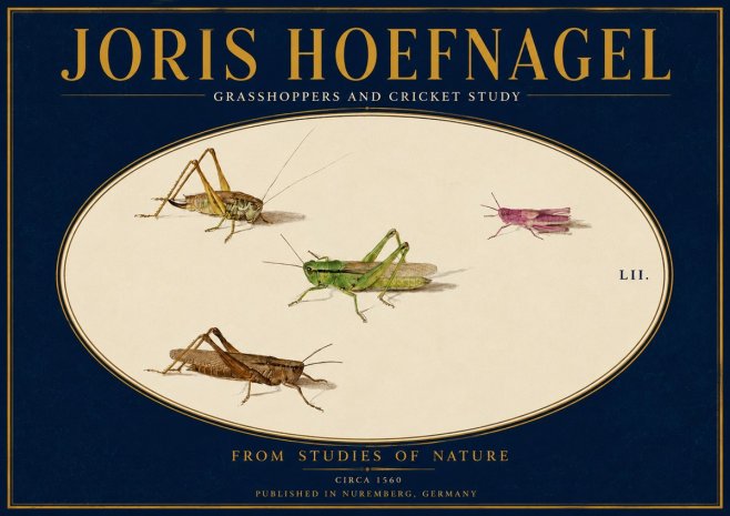 Joris Hoefnagel Three Grasshoppers and a Locust No4 - Poszter