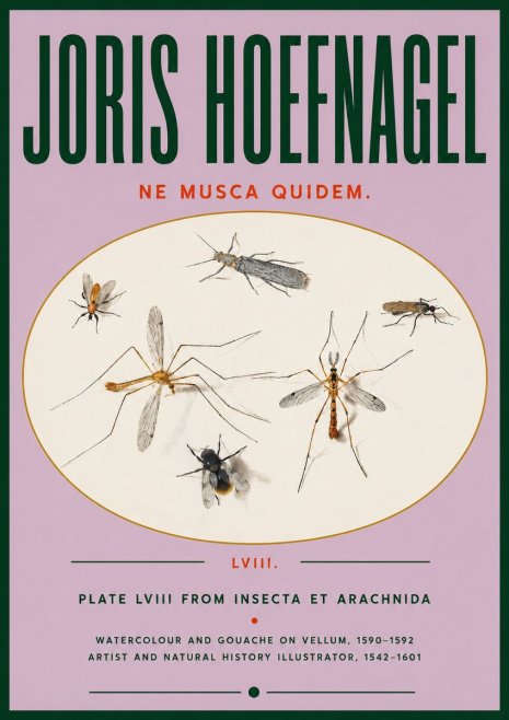 Joris Hoefnagel Plate Lviii from Insecta Et Arachnida No4 - Poszter