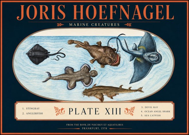 Joris Hoefnagel Marine Creatures Plate Xiii No2 - Poszter