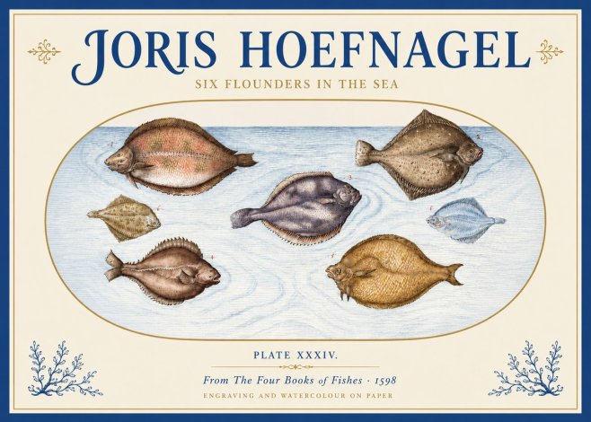 Joris Hoefnagel Six Flounders in the Sea No3 - Poszter