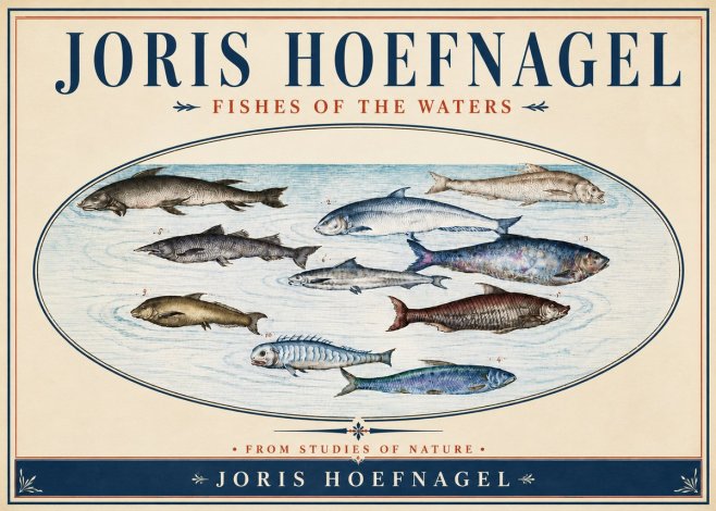 Joris Hoefnagel Fishes of the Waters II No4 - Poszter
