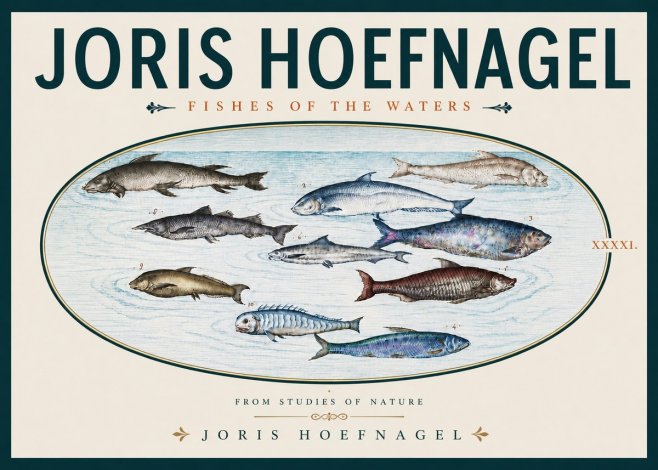 Joris Hoefnagel Fishes of the Waters II No5 - Poszter