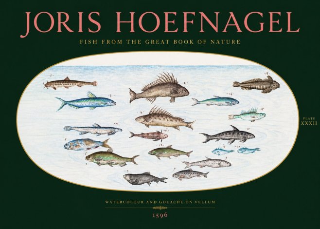 Joris Hoefnagel Fish from the Great Book of Nature No2 - Poszter