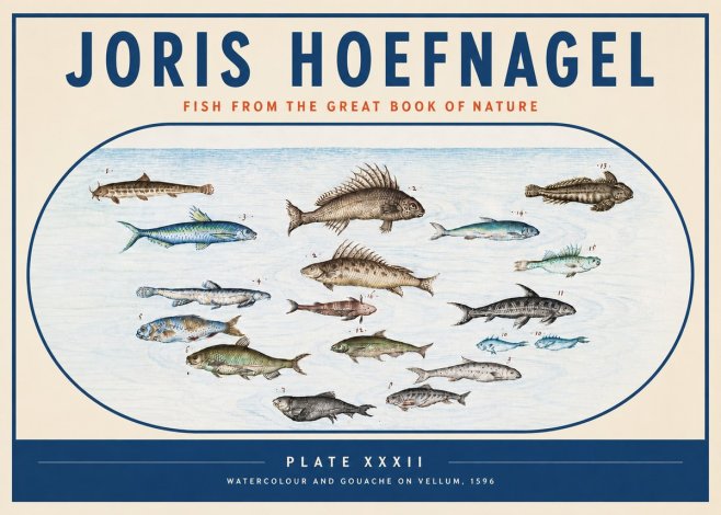 Joris Hoefnagel Fish from the Great Book of Nature No3 - Poszter