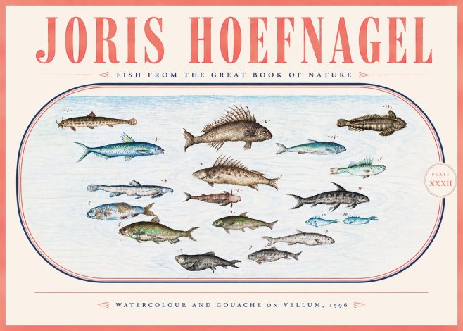 Joris Hoefnagel Fish from the Great Book of Nature No5 - Poszter
