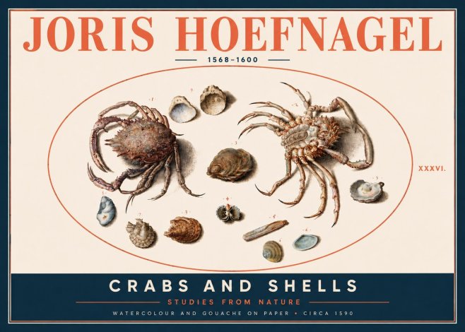 Joris Hoefnagel Crabs and Shells - Studies from Nature No4 - Poszter