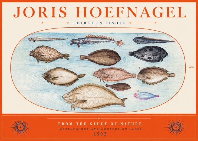 Joris Hoefnagel Thirteen Fishes from the Study of Nature No2 - Poszter
