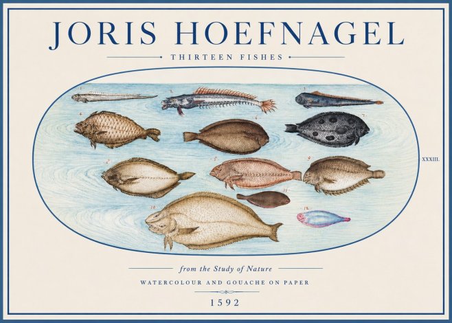 Joris Hoefnagel Thirteen Fishes from the Study of Nature No4 - Poszter