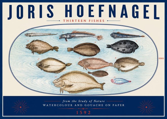 Joris Hoefnagel Thirteen Fishes from the Study of Nature No6 - Poszter