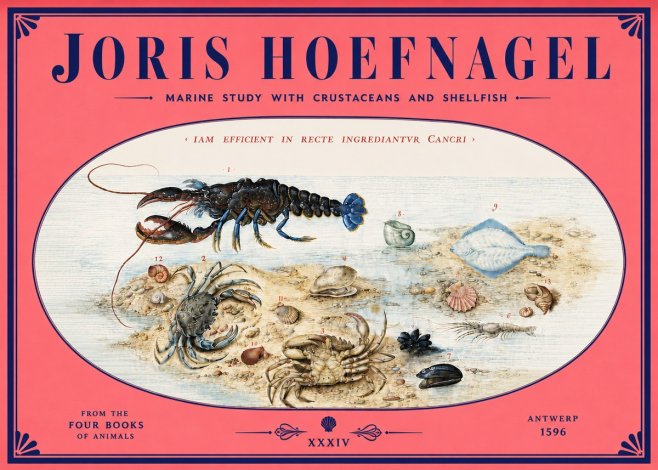 Joris Hoefnagel Marine Study with Crustaceans and Shellfish No4 - Poszter