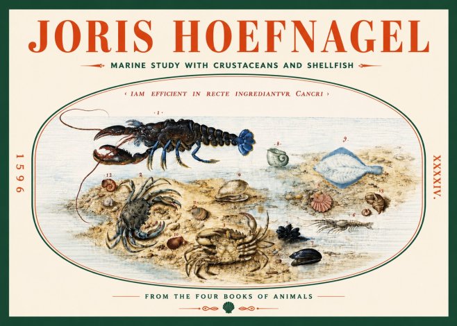 Joris Hoefnagel Marine Study with Crustaceans and Shellfish No5 - Poszter