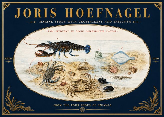 Joris Hoefnagel Marine Study with Crustaceans and Shellfish No6 - Poszter