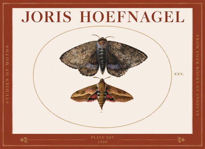 Joris Hoefnagel Studies of Moths I No3 - Poszter