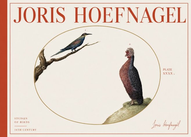 Joris Hoefnagel Studies of Birds I No4 - Poszter