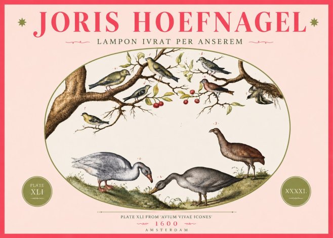 Joris Hoefnagel Lampon Ivrat per Anserem No4 - Poszter