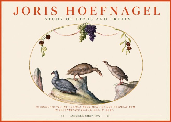 Joris Hoefnagel Three Birds with Grapes and Inscription No4 - Poszter