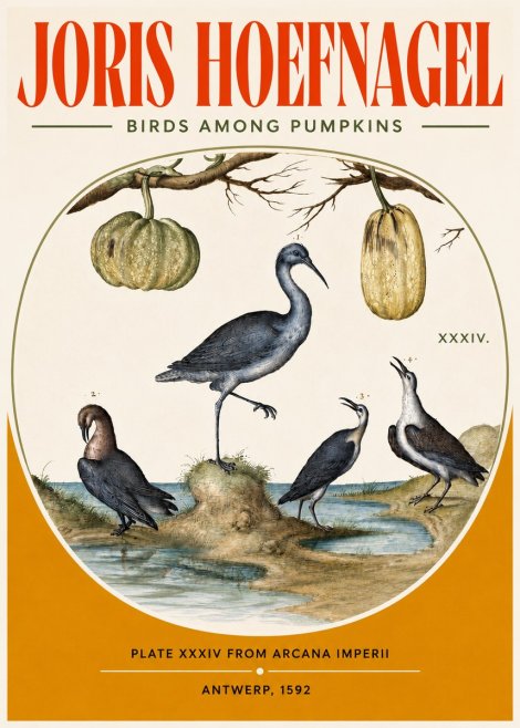 Joris Hoefnagel Birds and Fruits No4 - Poszter