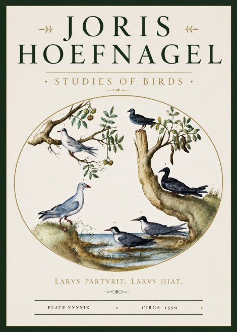Joris Hoefnagel Studies of Birds II No3 - Poszter