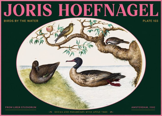 Joris Hoefnagel Ducks and Passerines with Apple Tree No2 - Poszter