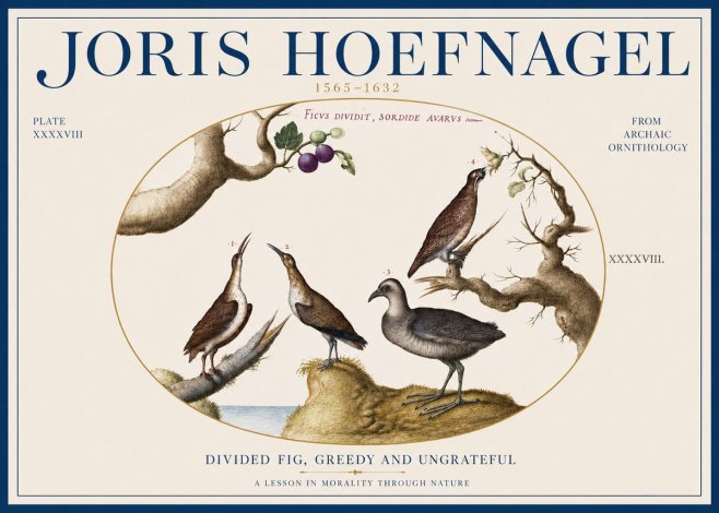 Joris Hoefnagel Birds from the Four Parts of the World No4 - Poszter