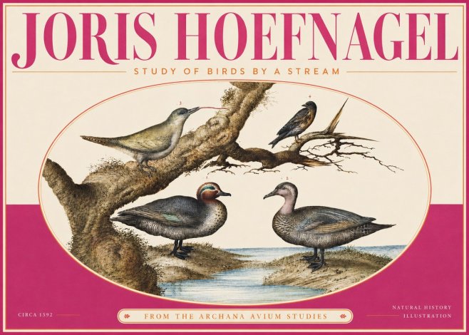 Joris Hoefnagel Study of Birds by a Stream No4 - Poszter