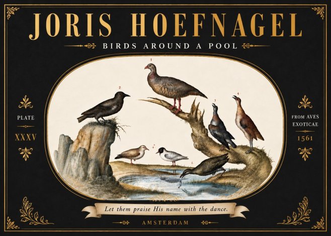 Joris Hoefnagel Birds Around a Pool No6 - Poszter