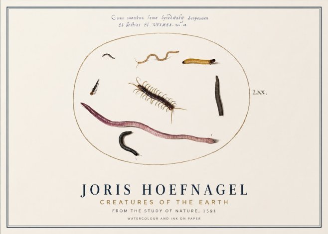Joris Hoefnagel Creatures of the Earth II No1 - Poszter