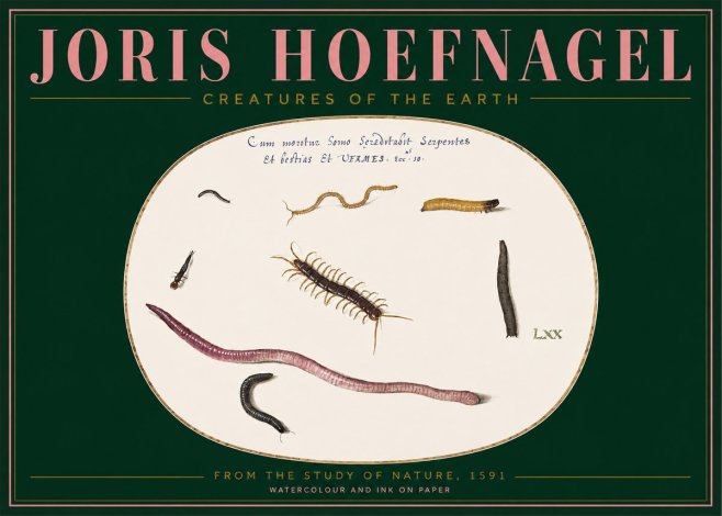 Joris Hoefnagel Creatures of the Earth II No2 - Poszter