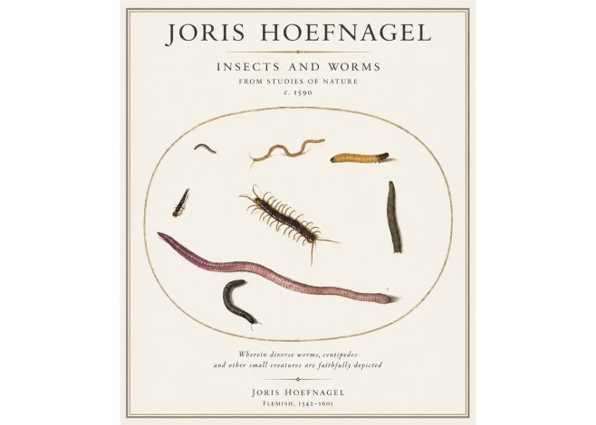 Joris Hoefnagel Creatures of the Earth II No5 - Poszter