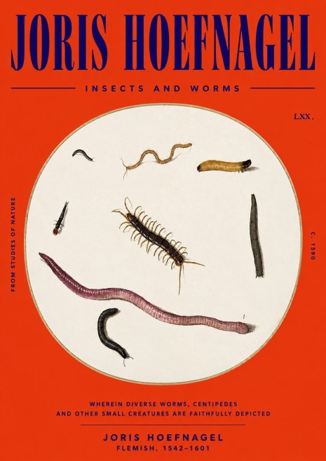 Joris Hoefnagel Creatures of the Earth II No6 - Poszter