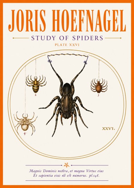 Joris Hoefnagel Study of Spiders No5 - Poszter